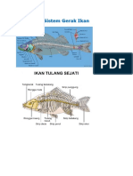 Sistem Gerak Ikan