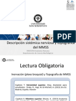 Clase 19 Inervacion y Topografia de MMSS - DBIO1050