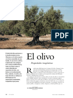 El Olivo Propiedades Terapeuticas