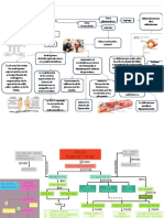 mapa suprerenal