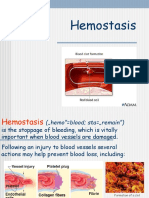 Hemostasis