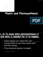 Plants and Photosynthesis