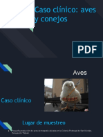 aves y conejos .pdf