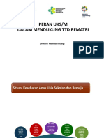 Peran Uks/M Dalam Mendukung TTD Rematri: Direktorat Kesehatan Keluarga