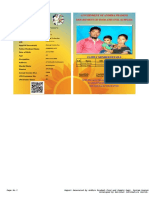 Raton Card PDF