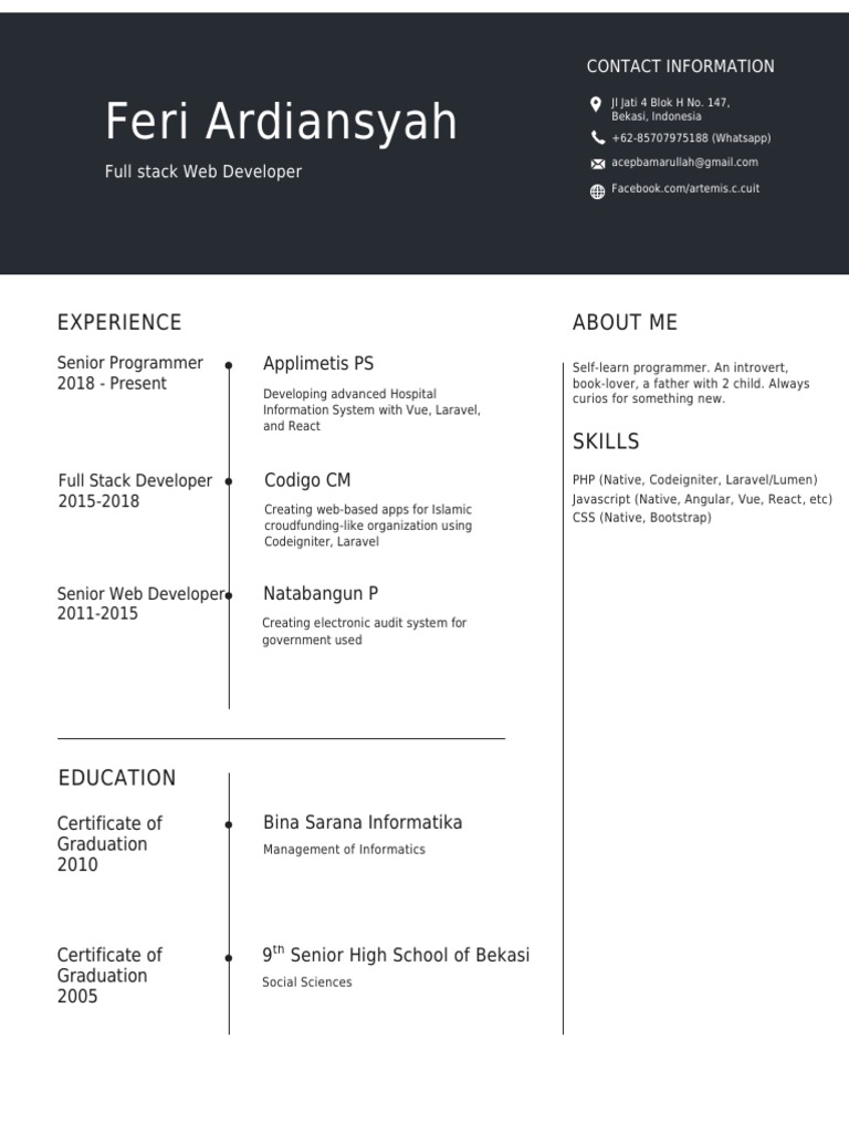 Full Stack Developer Profile | PDF