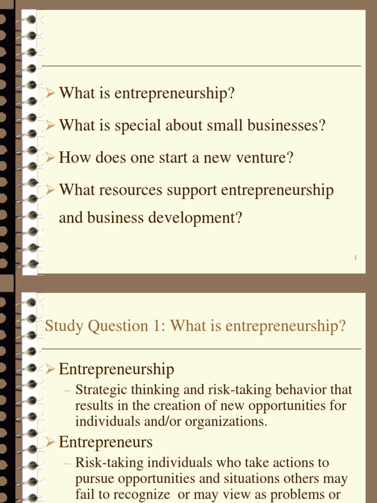 Understanding Entrepreneurship Basics | PDF | Venture Capital ...