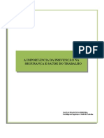 A Importância Da Prevenção Na Segurança e Saúde Do Trabalho