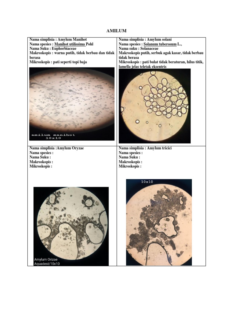Qorongi xonada BDSM gey oyinlari