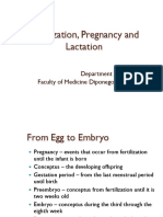 Fertilization, Pregnancy, and Lactation