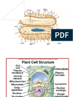 cell structure pdf-2.pdf