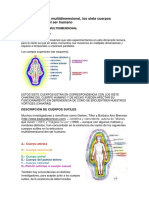 El Ser Humano Es Multidimensional