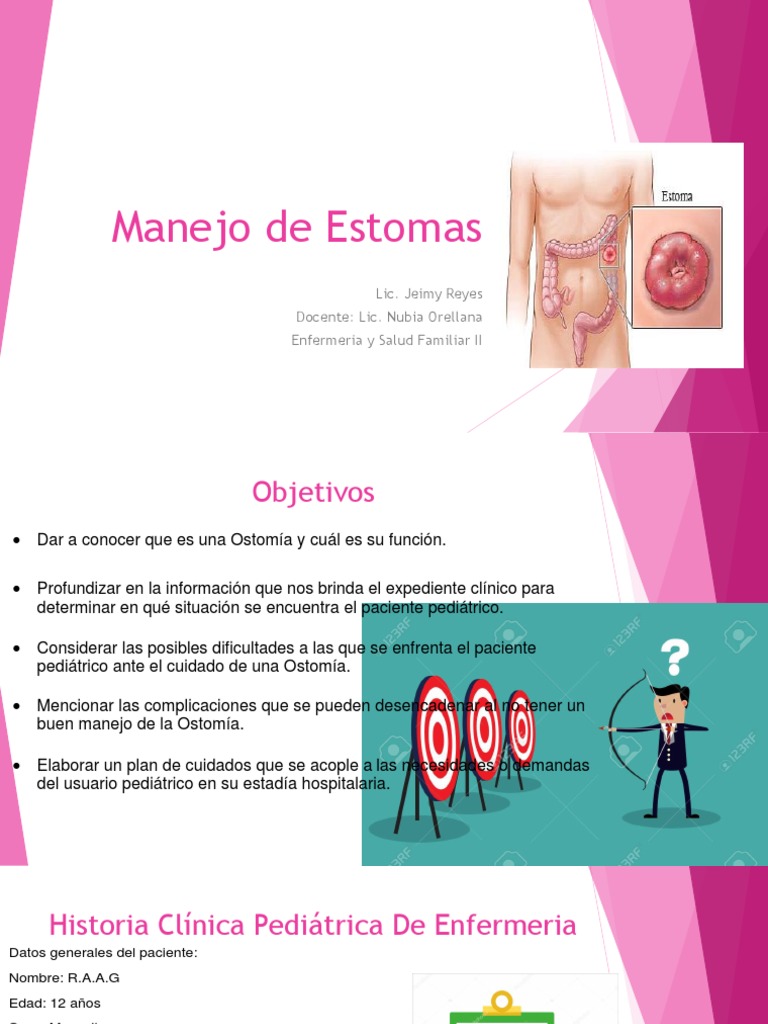 tipos-de-estomas-pdf-conoce-aqu-los-diferentes-tipos-de-estomas-hqrju