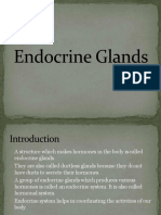 Endocrine System: Hormone-Producing Glands