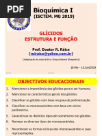 4. Glícidos - Estrut e Funcao. MG