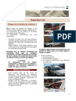 FICHA PREV. SEGURIDAD VIAL.pdf