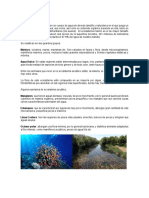 Ecosistema Acuático.pdf