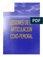 Lesiones de la articulacion coxofemoral 