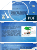 ciclos biogeoquimicos.pptx