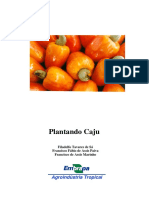 Plantando_caju.pdf