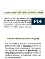 presentacion-bpa-guayaquil.pdf