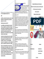 triptico.docx