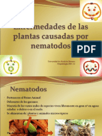 Tema 15. Nemátodos