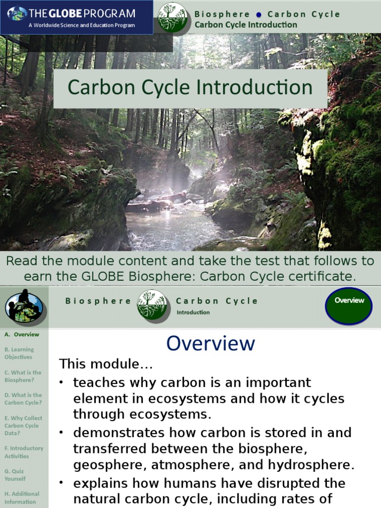 Understanding the Carbon Cycle | PDF | Carbon Cycle | Carbon Dioxide In ...
