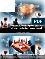 Carlos Luis Michel Fumero - Conoce Cómo Expandirte en El Mercado Internacional