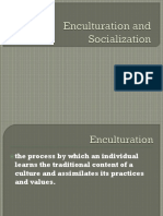 The Process of Enculturation