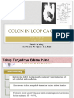Radiologi Colon in Loop 1
