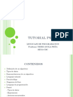 Manual Pseint PDF