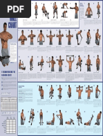 Bullworker X5 Exercise Guide | PDF | Arm | Hand