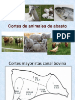 Cortes de de Animales de Abasto PDF