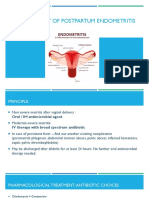 Management Endometritis