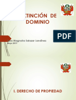 5 Sara Salazar Extincion Dominio PDF