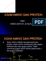 2, 3 Asam-Amino-Dan-Protein