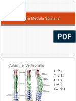 5. Trauma Medula Spinalis.pptx