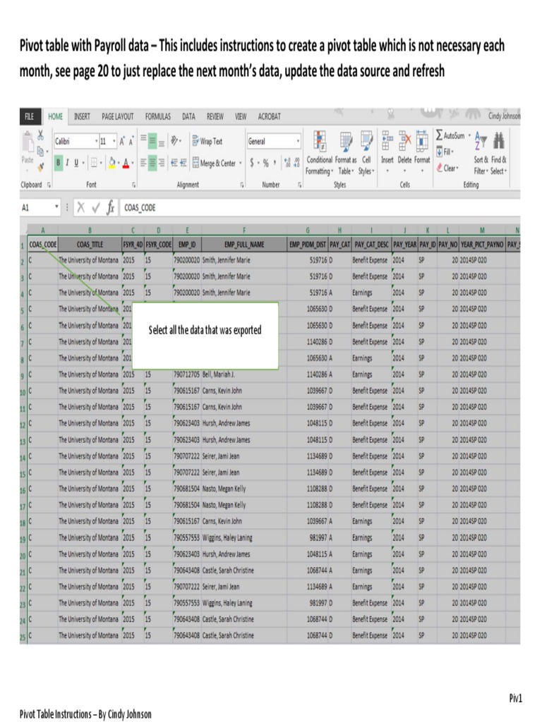 Pivot Table Payroll Data | PDF | Computer Programming | Information ...