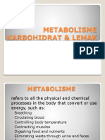 Metabolisme Karbohidrat & Lemak