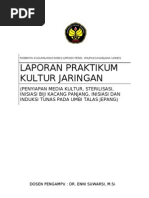 Download JADILAH LAPORAN by nuruddin SN41972704 doc pdf