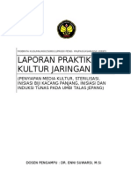 Jadilah Laporan