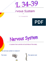 Nervous System: by Dr. K. Sumangala Bhat