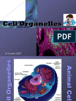 Cell Organelles: © Cramer 2007