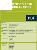 Types of Cells in the Human Body Explained