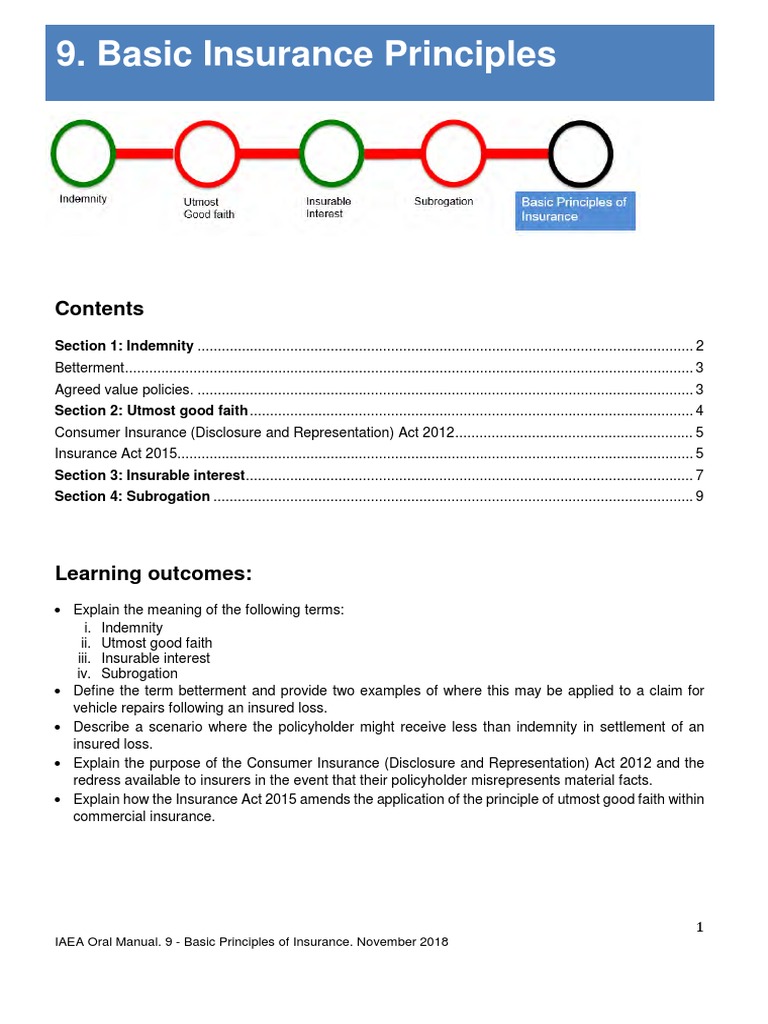 Basic Principles of Insurance Explained | PDF | Misrepresentation ...