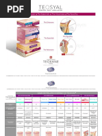 Anatomía de Aplicación de Botox | PDF | Nariz humana | Anatomía humana