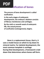 Bones Ossification