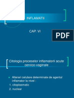 CITOLOGIE CAP 06.ppt