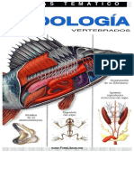 OJO FULL ZOOLOGIA-vertebrados.pdf